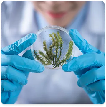 Healthcare & Life Sciences